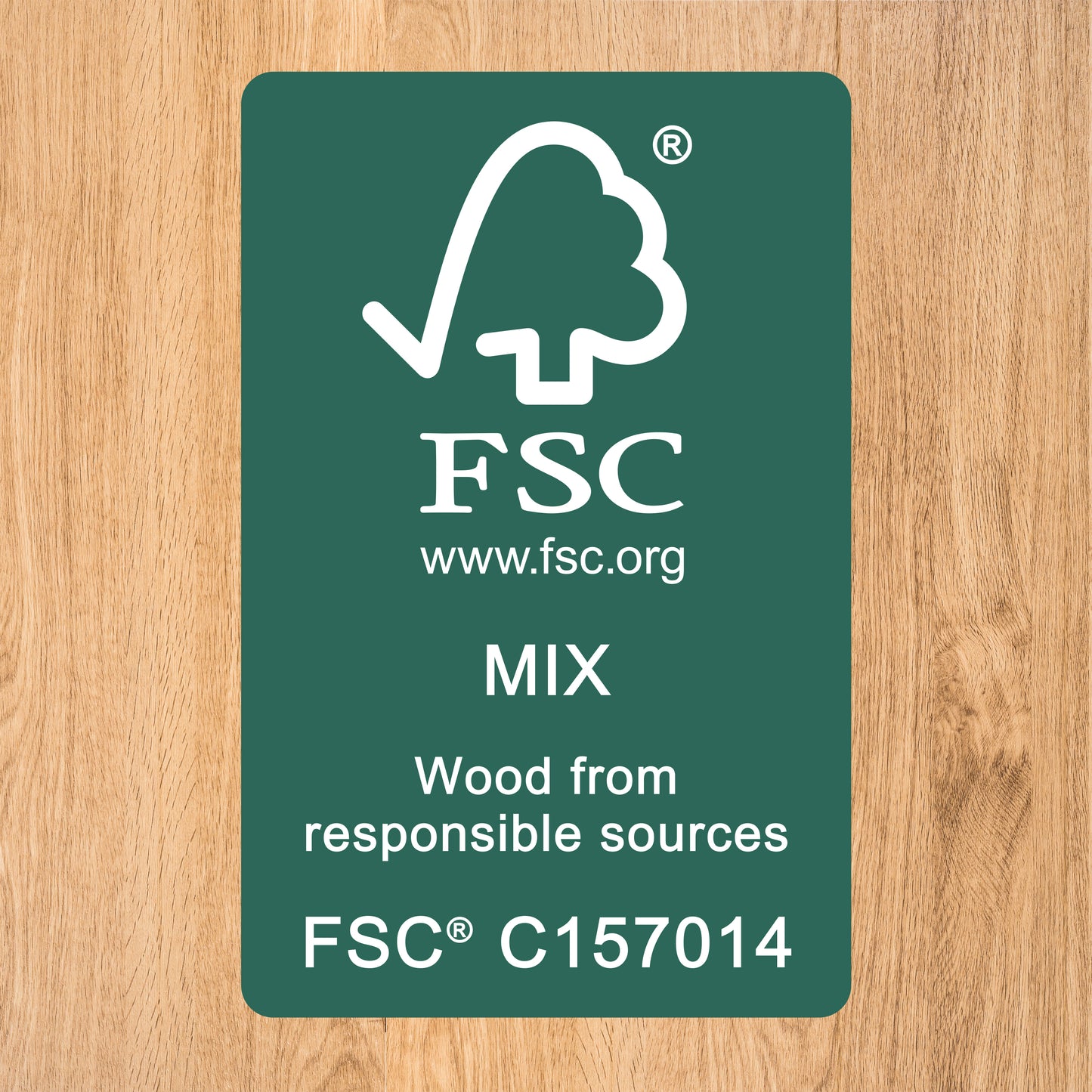 Frog Activity Wall Panel