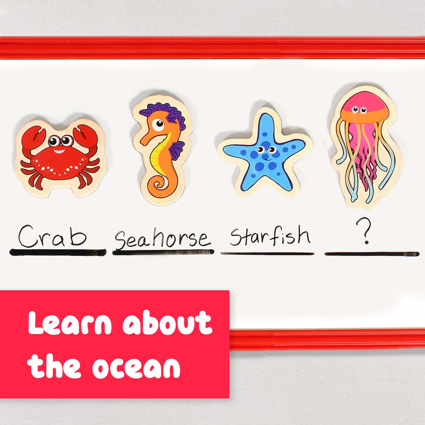 Wooden Magnets - Sea Life