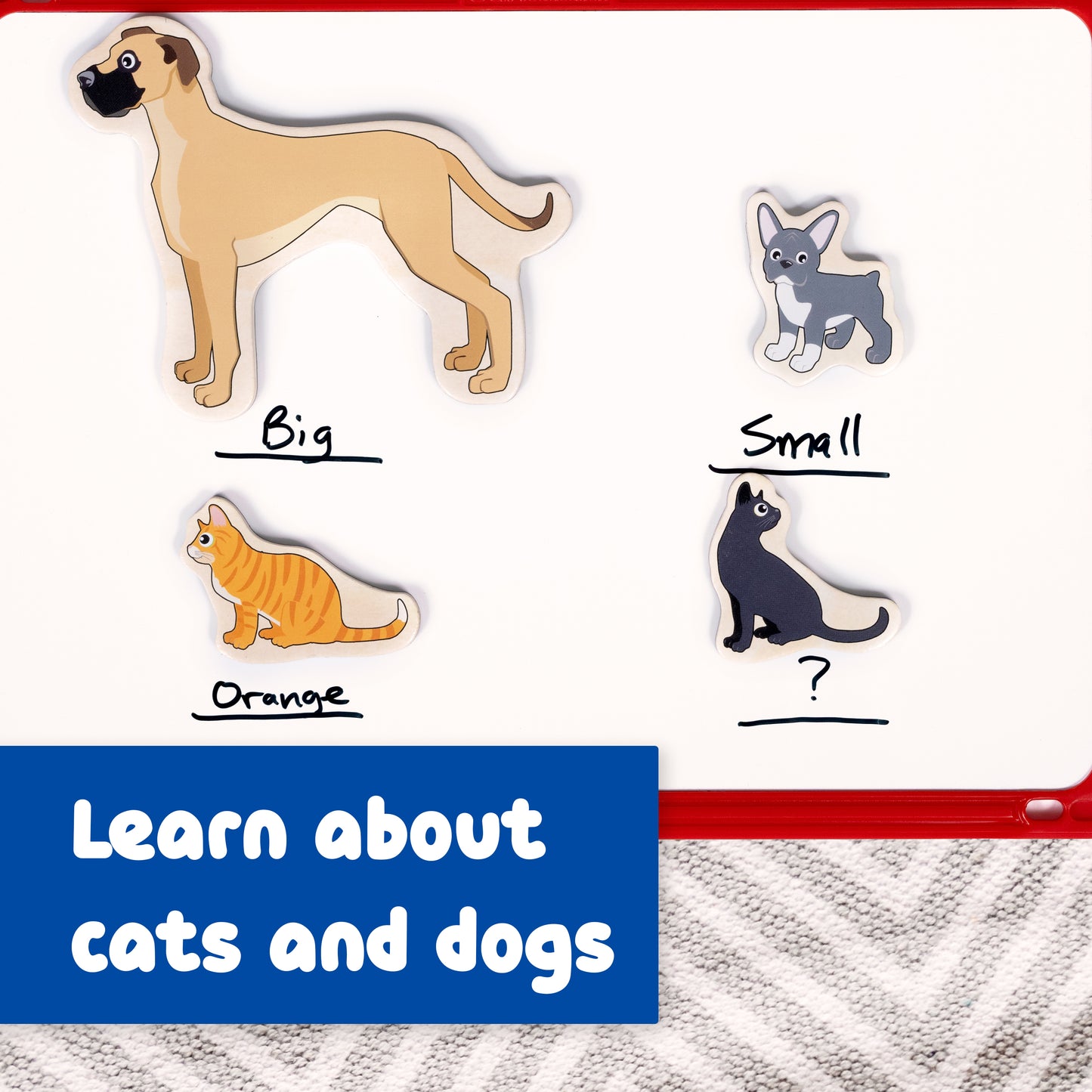 Wooden Magnets - Cats and Dogs